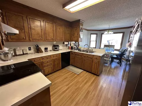 16823 Hwy 102, Patrick, SC 29584 photo 6