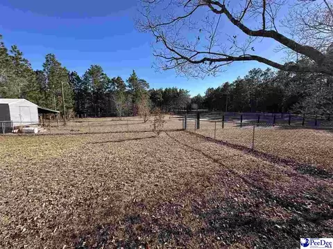 16823 Hwy 102, Patrick, SC 29584 photo 33