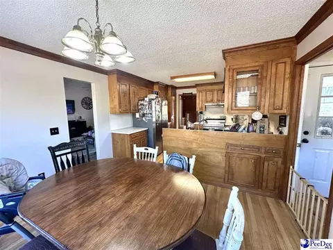 16823 Hwy 102, Patrick, SC 29584 photo 10