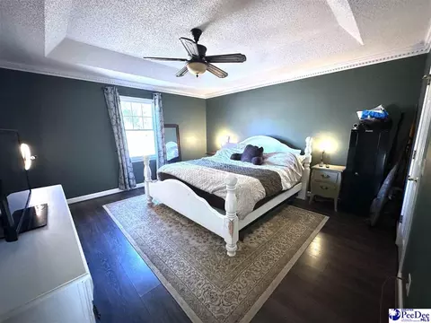 16823 Hwy 102, Patrick, SC 29584 photo 21
