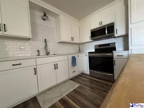 2524 Centerville Rd, Latta, SC 29565 photo 9