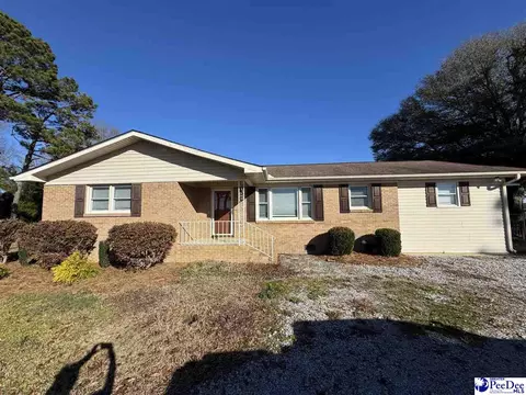 2524 Centerville Rd, Latta, SC 29565 photo 2
