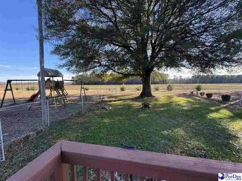2524 Centerville Rd, Latta, SC 29565 photo 25