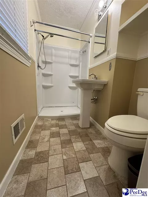 2524 Centerville Rd, Latta, SC 29565 photo 20
