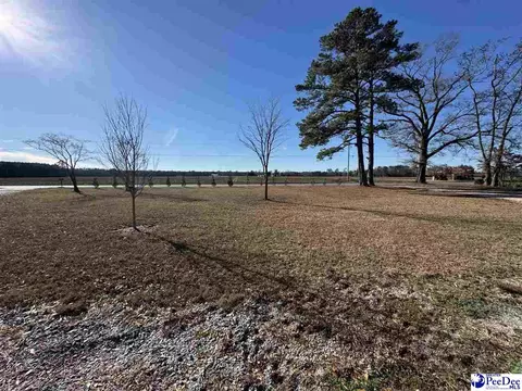 2524 Centerville Rd, Latta, SC 29565 photo 28