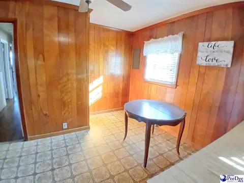 1004 Tec Rd, Cheraw, SC 29520 photo 23