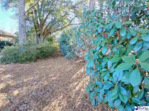 1004 Tec Rd, Cheraw, SC 29520 photo 6