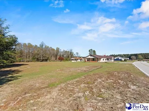 4303 Zoar Rd, Cheraw, SC 29520 photo 39