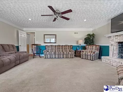 4303 Zoar Rd, Cheraw, SC 29520 photo 5