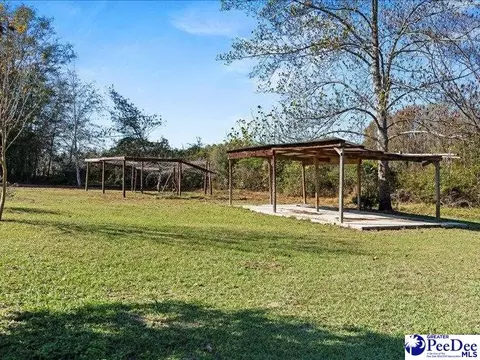 4303 Zoar Rd, Cheraw, SC 29520 photo 3