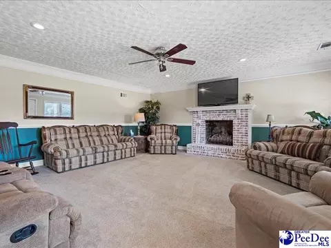 4303 Zoar Rd, Cheraw, SC 29520 photo 7