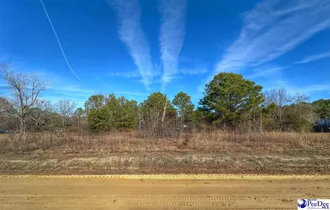 lot13 Copeland Moody Rd, Latta, SC 29565