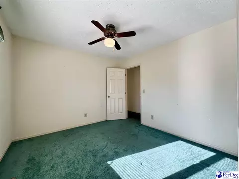 342 State Park Rd, Dillon, SC 29536 photo 60
