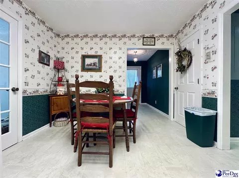 342 State Park Rd, Dillon, SC 29536 photo 28