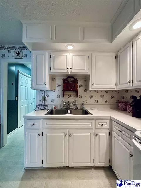 342 State Park Rd, Dillon, SC 29536 photo 31