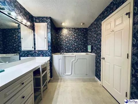 342 State Park Rd, Dillon, SC 29536 photo 49