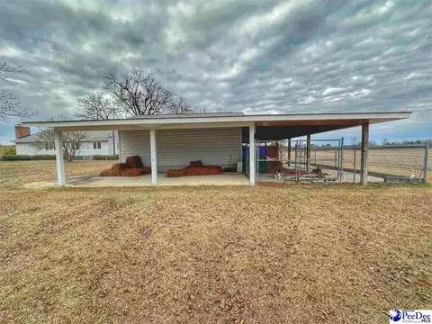342 State Park Rd, Dillon, SC 29536 photo 71