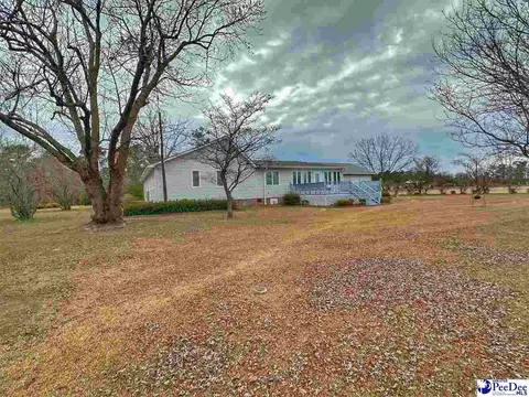 342 State Park Rd, Dillon, SC 29536 photo 11