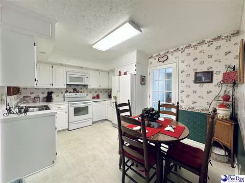 342 State Park Rd, Dillon, SC 29536 photo 25