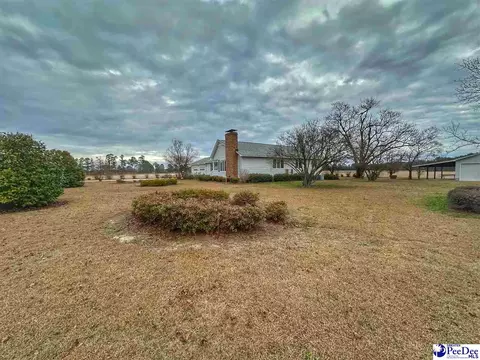 342 State Park Rd, Dillon, SC 29536 photo 15