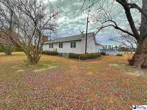 342 State Park Rd, Dillon, SC 29536 photo 12
