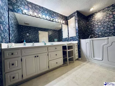 342 State Park Rd, Dillon, SC 29536 photo 48