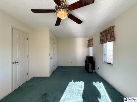 342 State Park Rd, Dillon, SC 29536 photo 56