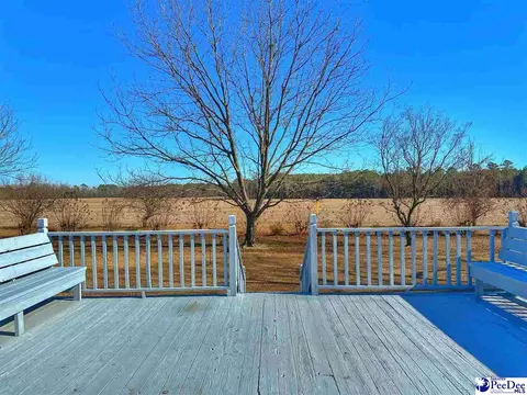 342 State Park Rd, Dillon, SC 29536 photo 9