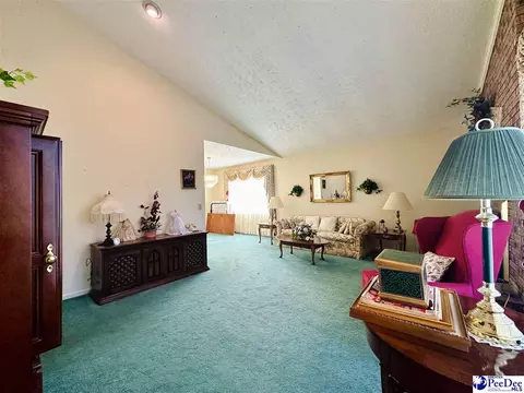 342 State Park Rd, Dillon, SC 29536 photo 21