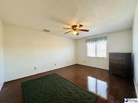 342 State Park Rd, Dillon, SC 29536 photo 52