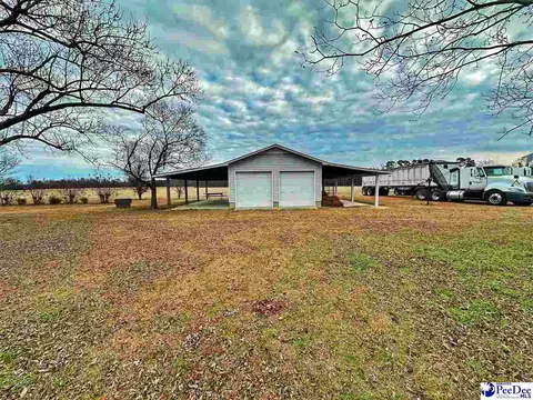 342 State Park Rd, Dillon, SC 29536 photo 63