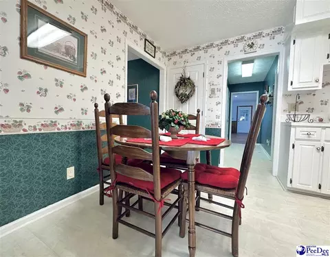 342 State Park Rd, Dillon, SC 29536 photo 32