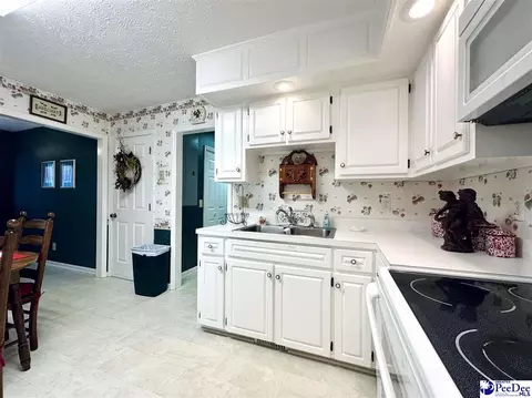 342 State Park Rd, Dillon, SC 29536 photo 30