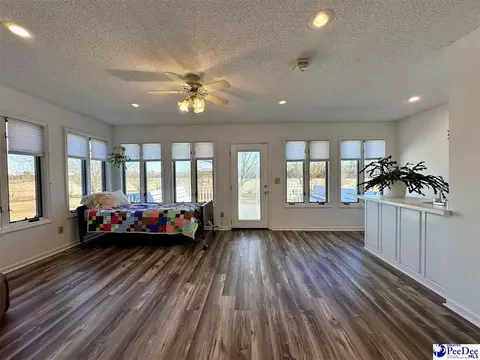 342 State Park Rd, Dillon, SC 29536 photo 44