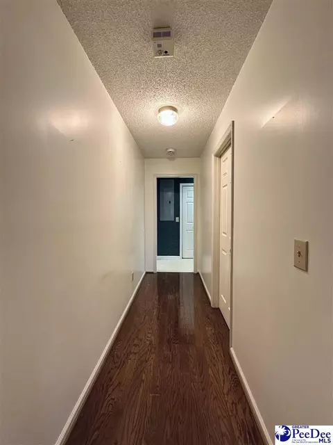 342 State Park Rd, Dillon, SC 29536 photo 47