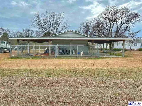 342 State Park Rd, Dillon, SC 29536 photo 70