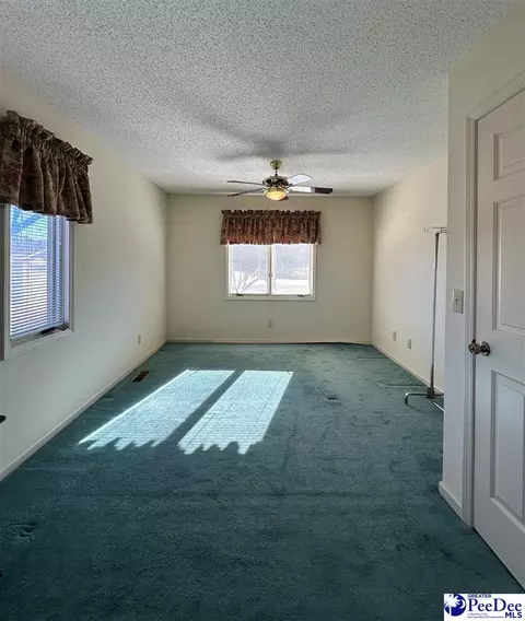 342 State Park Rd, Dillon, SC 29536 photo 55