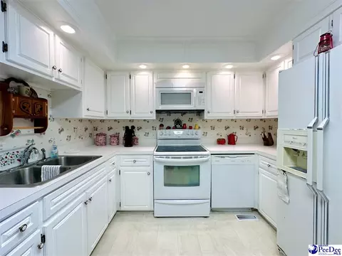 342 State Park Rd, Dillon, SC 29536 photo 29