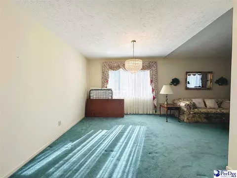 342 State Park Rd, Dillon, SC 29536 photo 24
