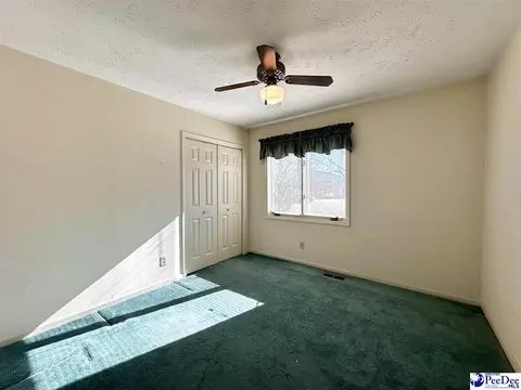 342 State Park Rd, Dillon, SC 29536 photo 59