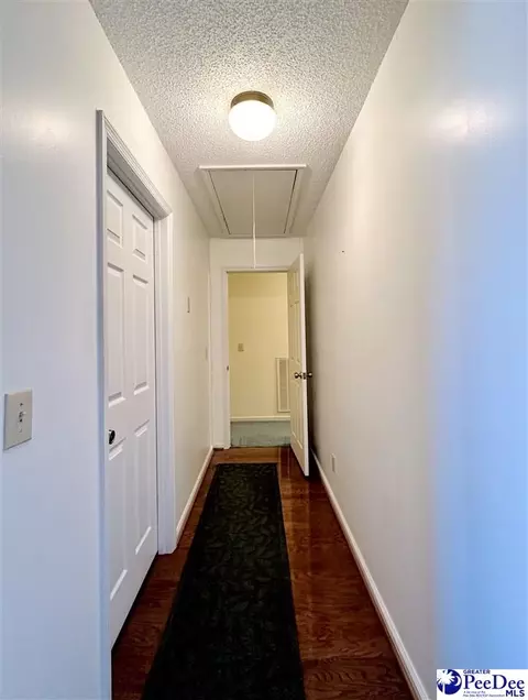 342 State Park Rd, Dillon, SC 29536 photo 54