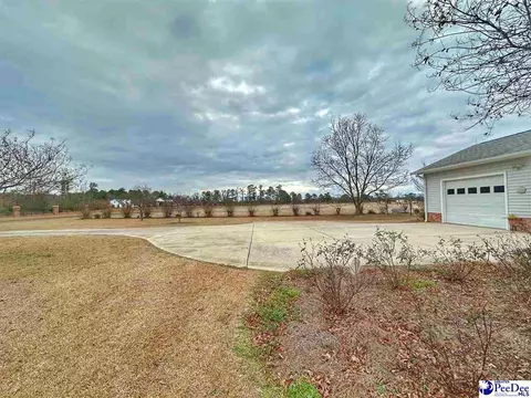 342 State Park Rd, Dillon, SC 29536 photo 4