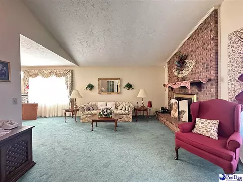 342 State Park Rd, Dillon, SC 29536 photo 22