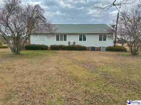 342 State Park Rd, Dillon, SC 29536 photo 13