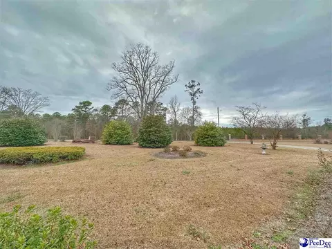 342 State Park Rd, Dillon, SC 29536 photo 16