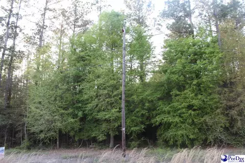 lot3 Reds Lndg, Andrews, SC 29510