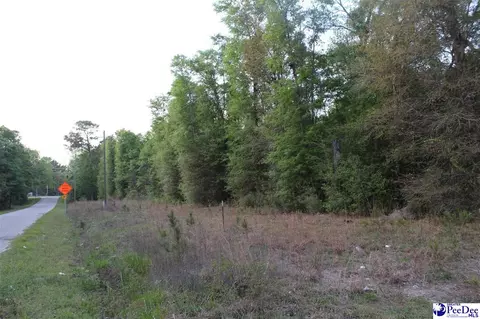lot4 Reds Landing Rd, Andrews, SC 29510