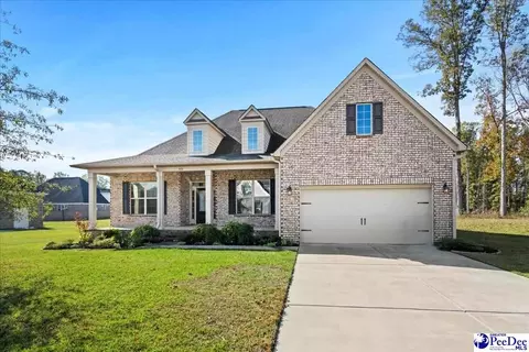 408 Brush Brook Dr, Effingham, SC 29541 photo 41