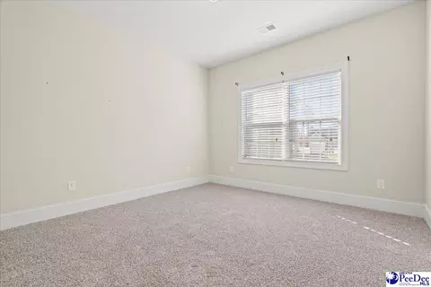 408 Brush Brook Dr, Effingham, SC 29541 photo 32