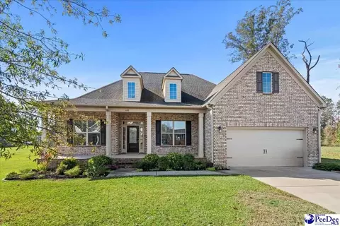 408 Brush Brook Dr, Effingham, SC 29541 photo 2